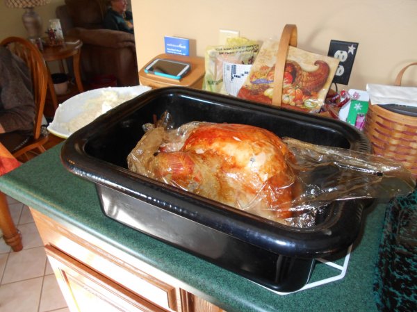 t-giving bird 002.jpg