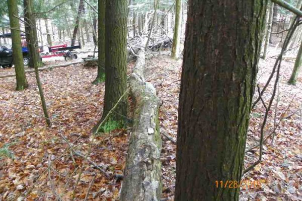 100_9545.JPG