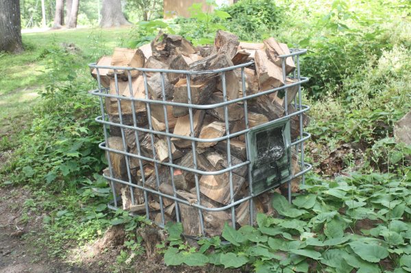 July 2015 Splitting 2015-07-09 004.JPG