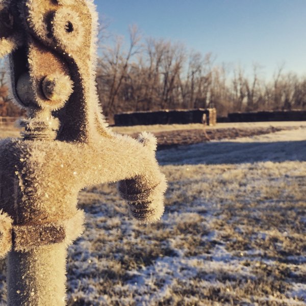 12 degree Frosty Morning.JPG