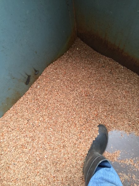 Dumpsterflowing2.JPG
