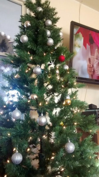 IMG_20151206_145719899 (1) (2).jpg