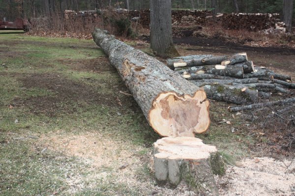 2015-12-08 001 2015-12-08 002.JPG