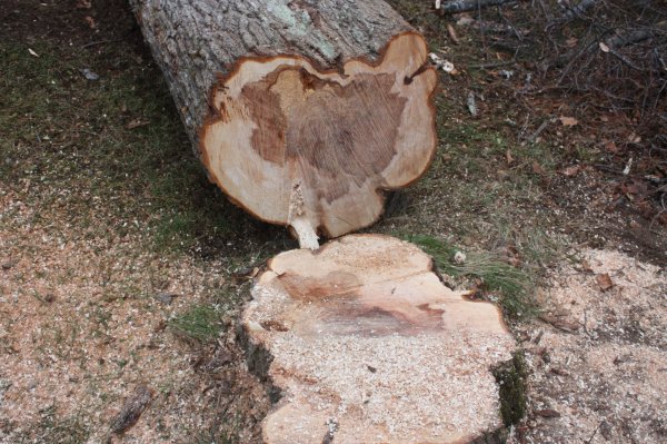 2015-12-08 001 2015-12-08 005.JPG