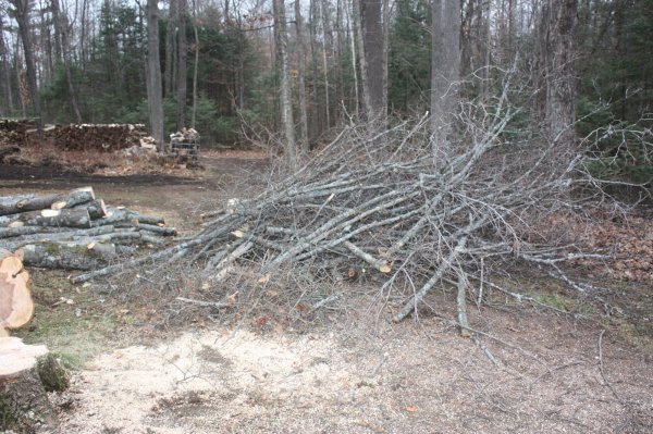 2015-12-08 001 2015-12-08 003.JPG