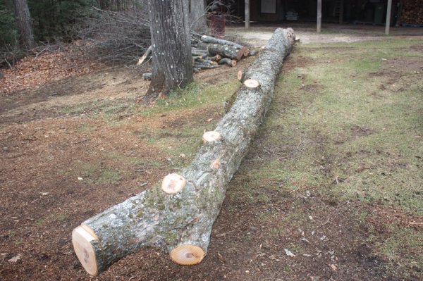 2015-12-08 001 2015-12-08 006.JPG