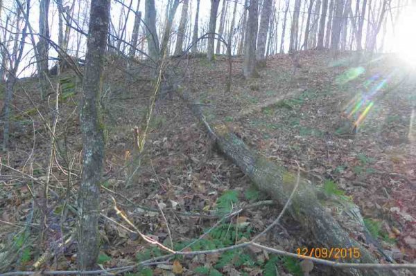 100_9636.JPG