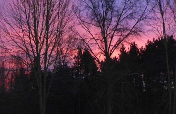 Red sky-2.JPG
