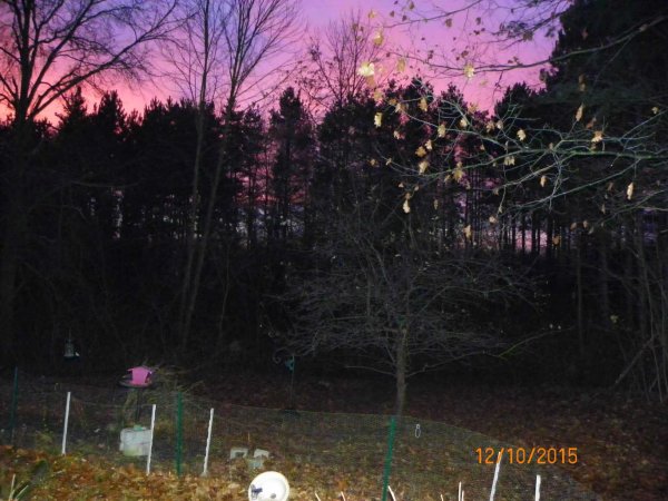 Red sky-3.JPG