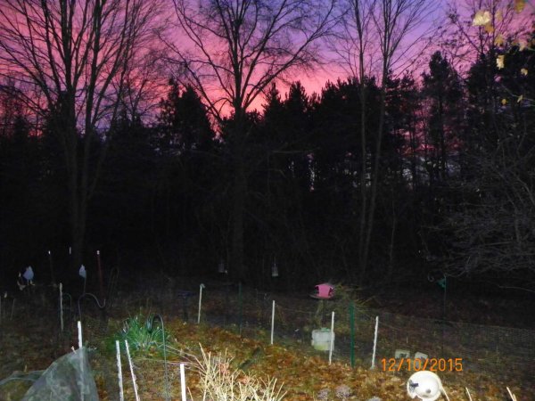 Red sky-1.JPG