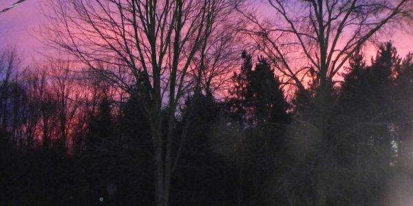 Red sky-4.JPG