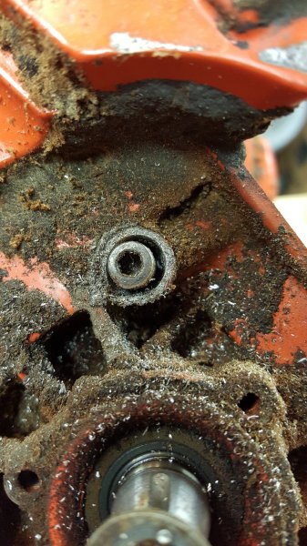 2015-12-10 18.24.31.jpg