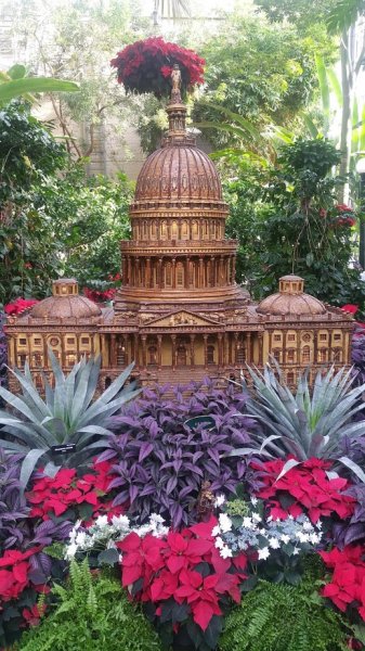 20151211_130858 (1).jpg