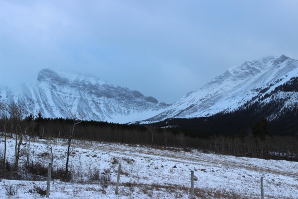 IMG_5208.JPG
