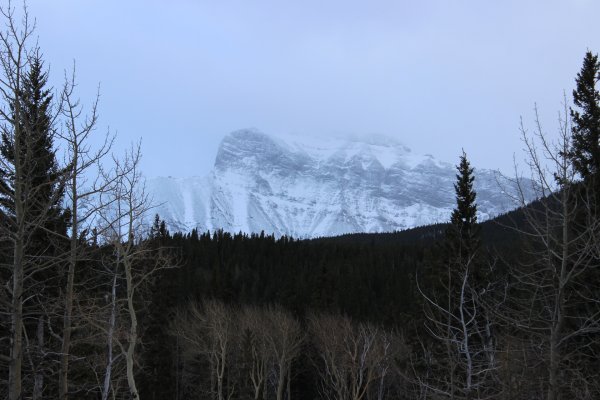 IMG_5210.JPG