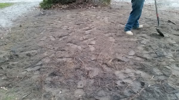 20151212_163823.jpg