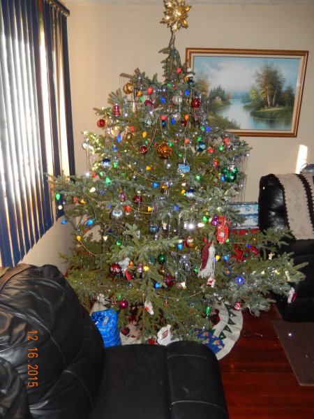 DSCN0992.JPG