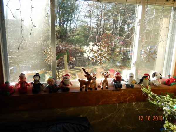 DSCN0993.JPG