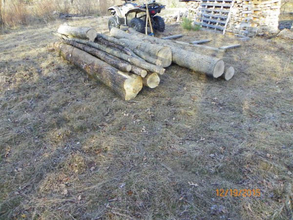 Log pile 2015a.JPG