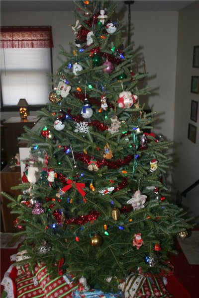 2015 tree cropped.jpg