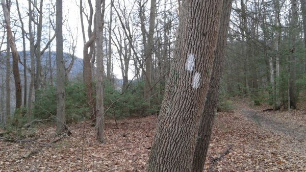 20151225_135838.jpg