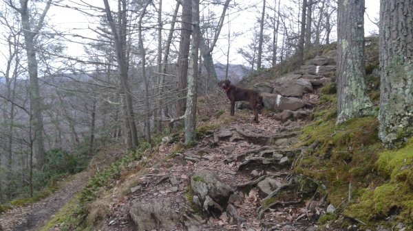 20151225_142834.jpg
