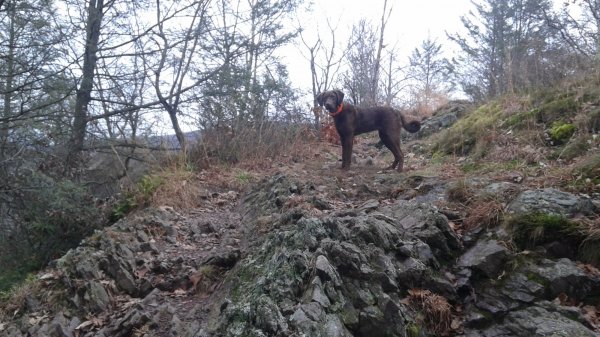 20151225_142949.jpg