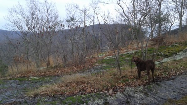 20151225_144227.jpg