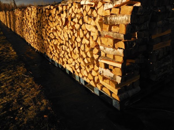 DSCF6318.JPG