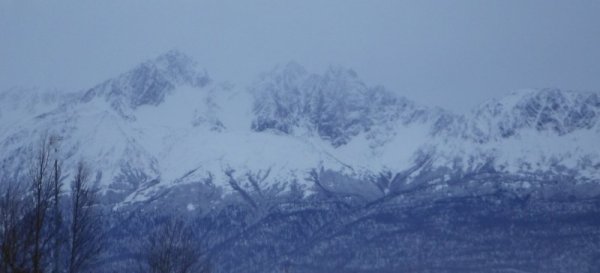 DSCF2311.JPG