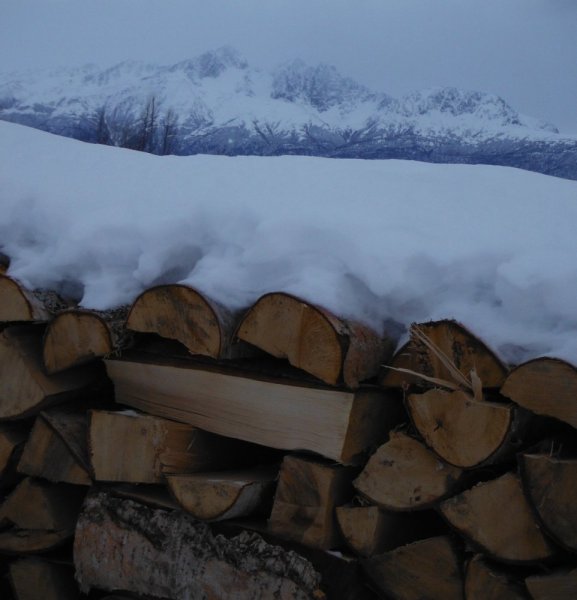 DSCF2314.JPG
