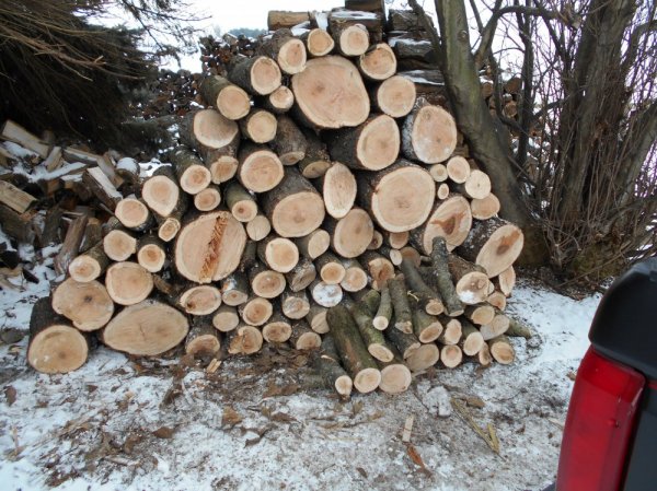 New Year cutting 006.jpg