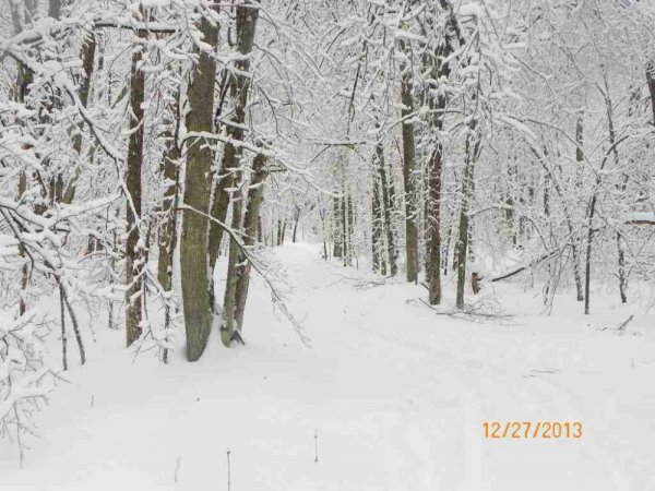 100_8389.JPG