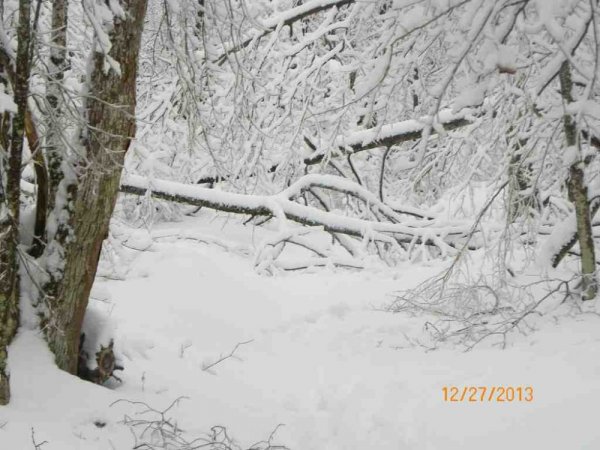 100_8390.JPG
