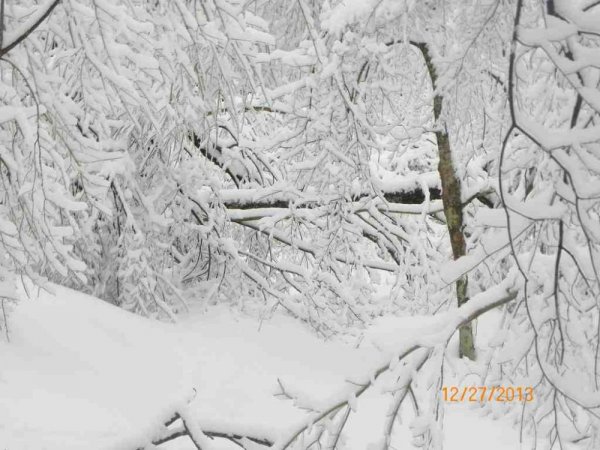 100_8391.JPG