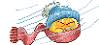 upload_2014-1-5_10-11-47.png