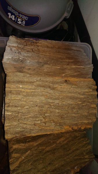 IMAG0044.jpg