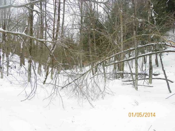 100_8401.JPG