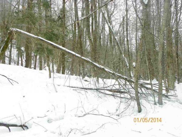 100_8404.JPG
