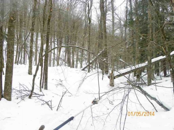 100_8406.JPG