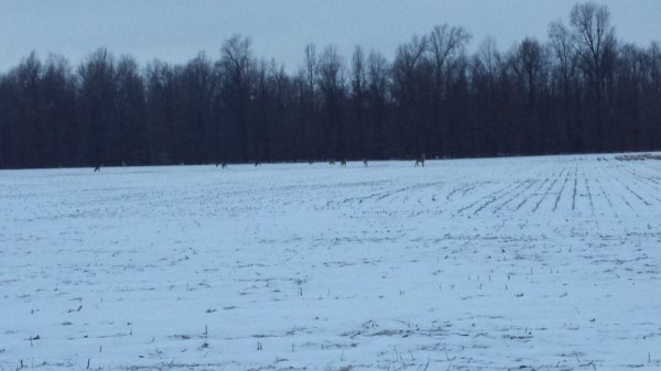 20140108_172826.jpg