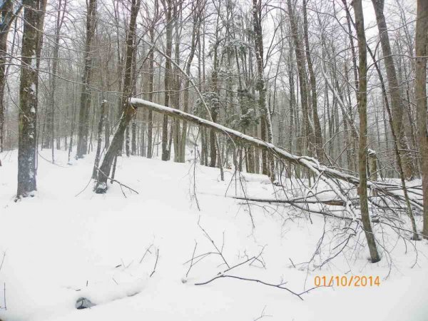 100_8418.JPG
