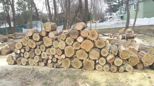 2016-01-09 11.41.28.jpg