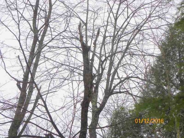 100_9739.JPG