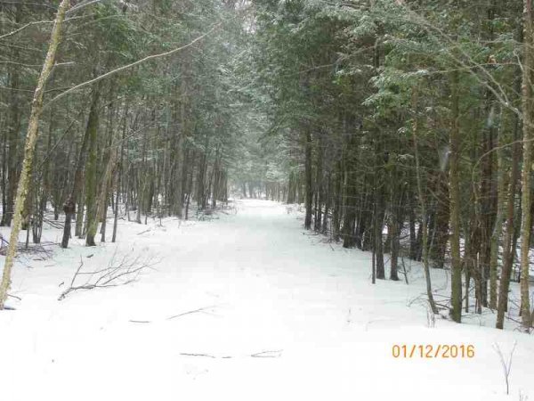 100_9747.JPG