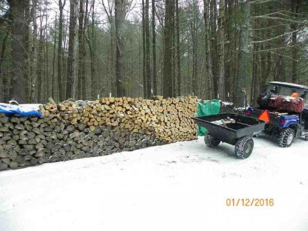 100_9750.JPG