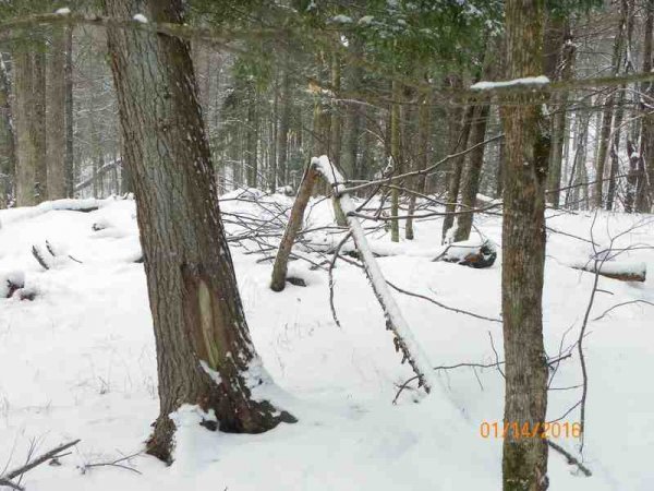 100_9753.JPG