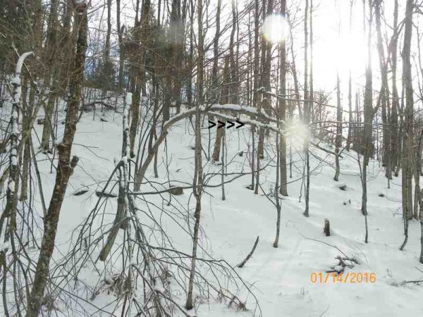 100_9757.JPG