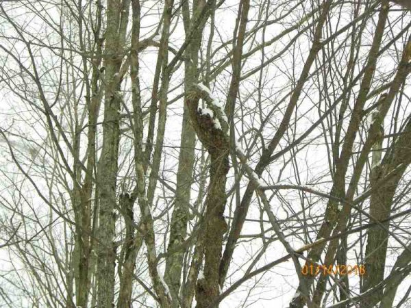 100_9761.JPG