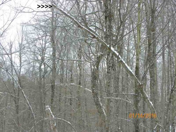 100_9771.JPG